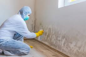 Best Water Damage & Mold Remediation in Crooksville, OH