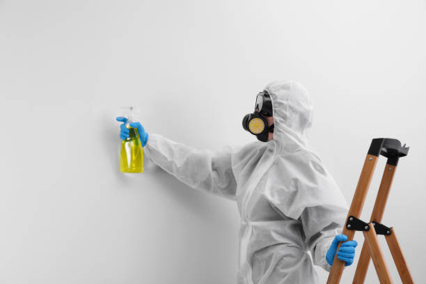 Best Mold Odor Removal Services in Crooksville, OH